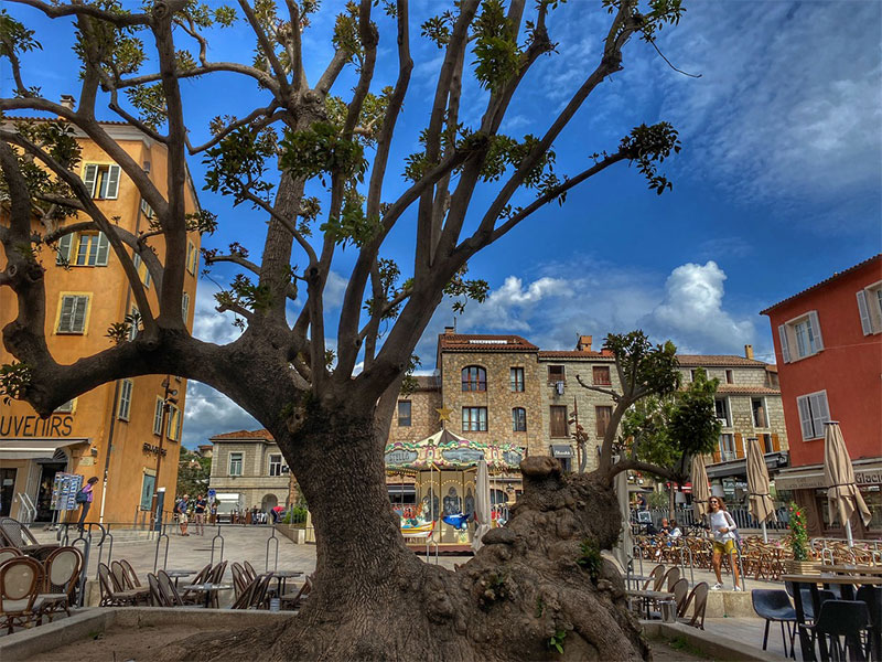 Beautiful town square inPorto-Vecchio, Corsica