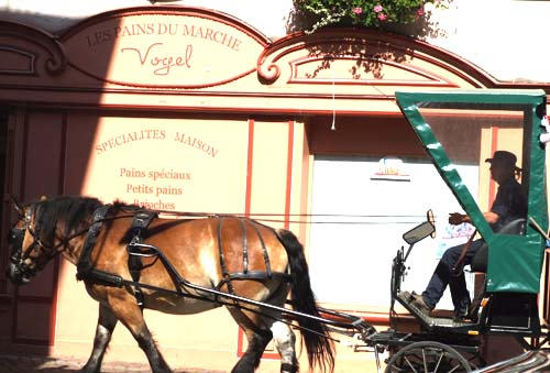 Collection rubbish by horse and cart in Ribeauville, Alsace Reycling and rubbish collection France